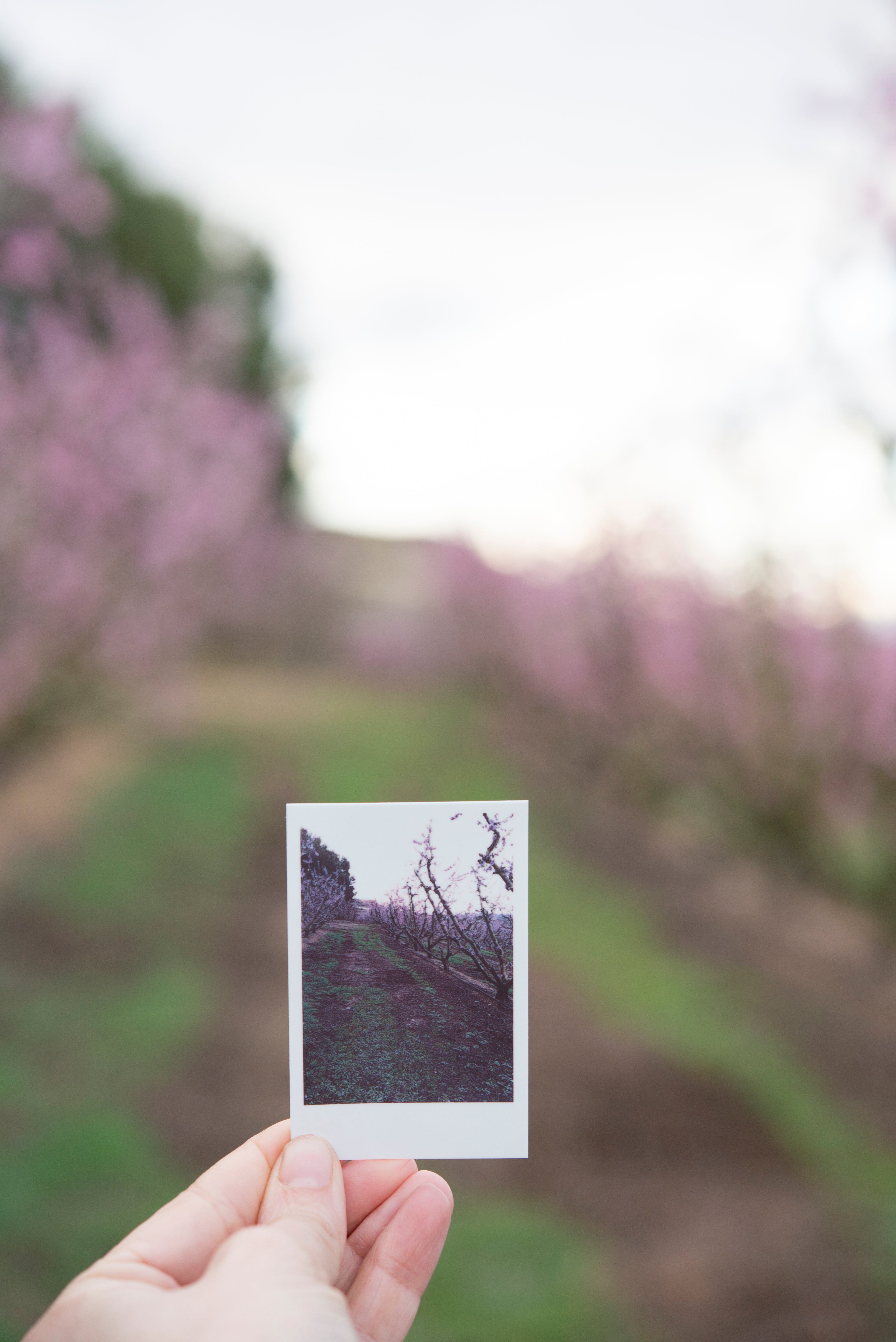 Impresión estilo Instax